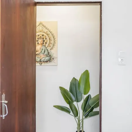 Super Zen * Ponta Delgada (Madeira)