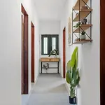 Apartment Zen