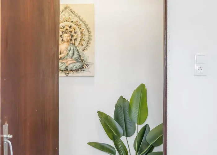 Super Zen * 蓬塔德尔加达